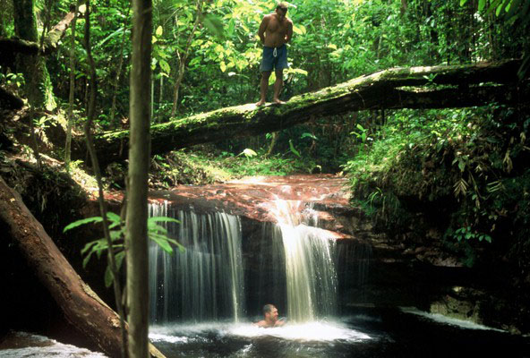 Amazonas bjuder på sagolik natur Amazonas bjuder på sagolik natur