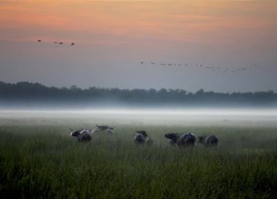 Magiskt vacker natur Magiskt vacker natur