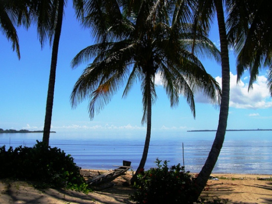 Galibi beach i Surinam Galibi beach i Surinam